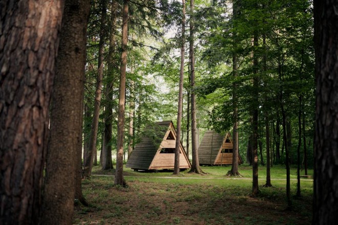Cottage nel letto della foresta (Foto: Booking.com)