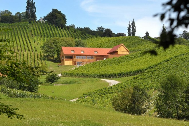 Wein + Tourismus Valdhuber (Foto: Booking.com)
